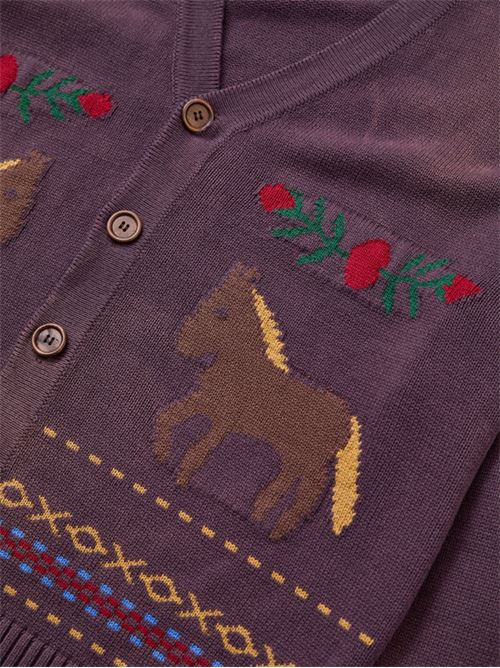 Cardigan Horse FOUND | FOSS26CA043106342